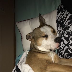 Meet your Posher, Fabian